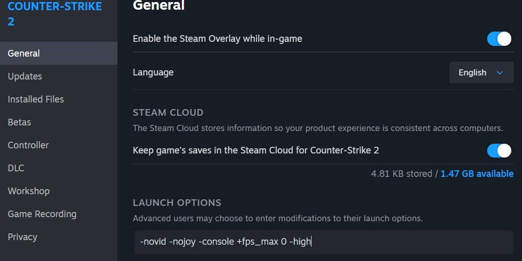Steam General Launch Options - Best CS2 Launch Options