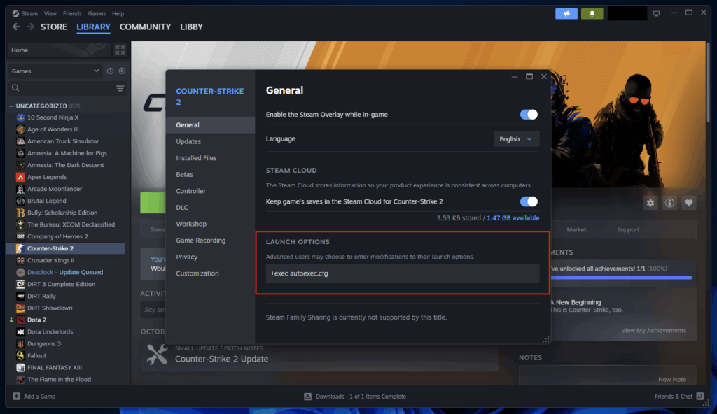 +exec autoexec.cfg so your CS2 Console Commands work from launch
